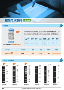 分子生物學甄選產(chǎn)品促銷專輯 生工生物引領(lǐng)生命科學產(chǎn)品與技術(shù)服務(wù)新浪潮