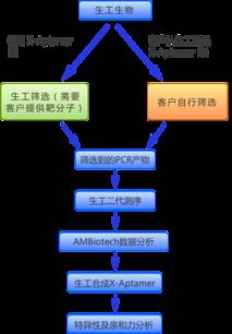 生工生物推出核酸適配體篩選試劑盒與服務(wù)，預訂享6折優(yōu)惠